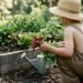 10 Surprisingly Easy Vegetables to Grow With Kids (2026)