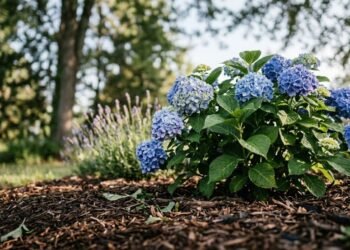 15 Risky Plants to Keep Away From Hydrangeas (and the Real Reason Why)