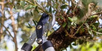 5 ways to reuse plant clippings in your garden this autumn
