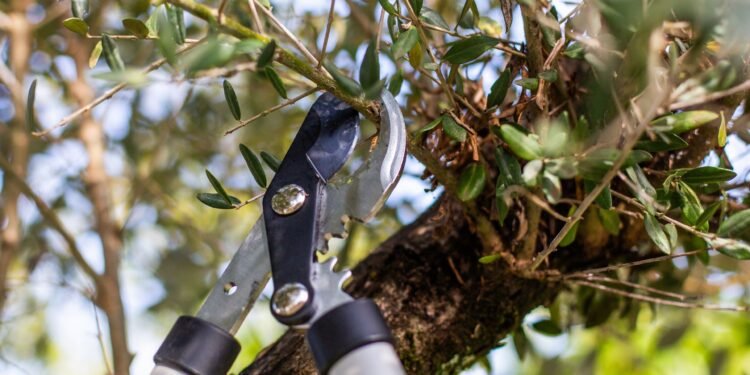 5 ways to reuse plant clippings in your garden this autumn