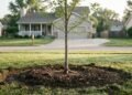 6 Hidden Root Problems and Fixes