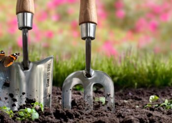 7 Ways to Replenish Fall Soil Before the Ground Cools