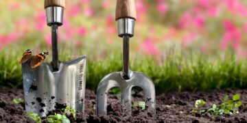 7 Ways to Replenish Fall Soil Before the Ground Cools