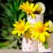 8 Clever Reasons Why Gardeners Are Saving Old Tin Cans 8 Clever Reasons Why Gardeners Are Saving Old Tin Cans