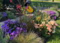 A Front Garden Designed for Fall Color