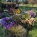 A Front Garden Designed for Fall Color