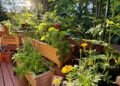A Little Bit of Everything in Christine’s Deck Garden