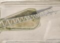 Arup creates Pilen viewpoint for Fehmarnbelt Tunnel project