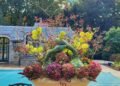 Autumn Arrangements Inspired by Nature