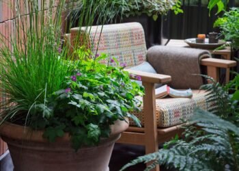 Clever Landscape-Designer Tricks to Brighten a Shady Garden