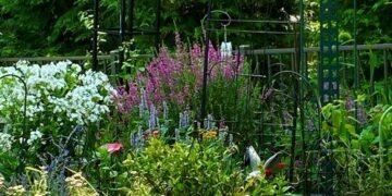 Colorful Summer Plant Combinations in Dot’s Pennsylvania Garden