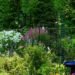 Colorful Summer Plant Combinations in Dot’s Pennsylvania Garden