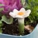 DIY Flower Bee Cups: The Cutest Bee Watering Station