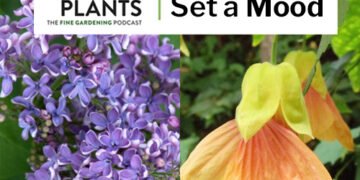 Episode 7: Plants That Set a Mood Episode 7: Plants That Set a Mood
