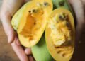 Everything You Need to Know About the Native American Fruit