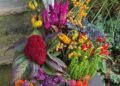 Fall Container Designs That Make an Entrance