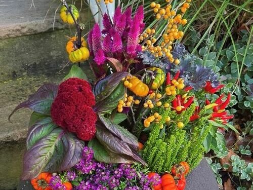 Fall Container Designs That Make an Entrance