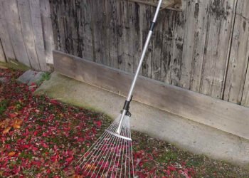 Fall Gardening Arsenal: 9 Favorites
