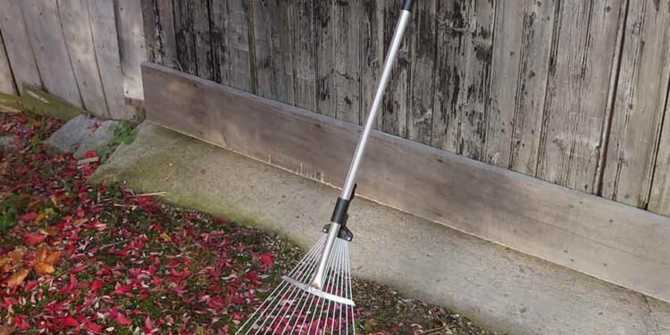 Fall Gardening Arsenal: 9 Favorites