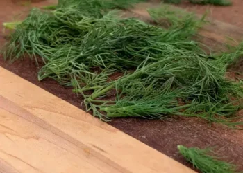 How to Dry Dill | 4 Best Ways to Dry Dill Weed & Other Fresh Herbs