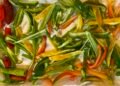 How to Freeze Bell Peppers from the Garden