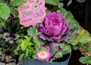 Make a Bee Breakfast Pot: A Spring Feast for Early Pollinators