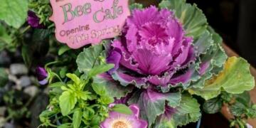 Make a Bee Breakfast Pot: A Spring Feast for Early Pollinators