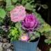 Make a Bee Breakfast Pot: A Spring Feast for Early Pollinators