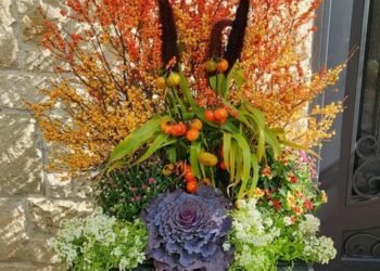 More Fall Color and Container Inspiration