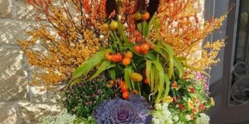 More Fall Color and Container Inspiration