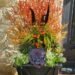 More Fall Color and Container Inspiration