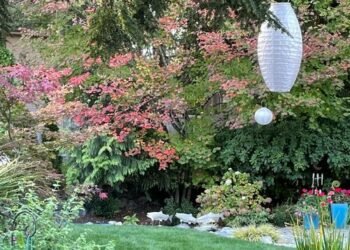 October in Lila’s Washington Garden