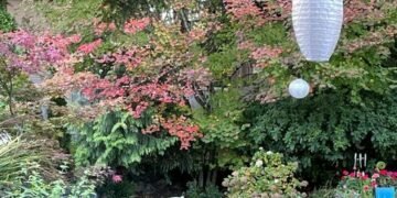 October in Lila’s Washington Garden