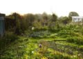 Off Hours: How Landscape Design Star Cleve West Survives His Day Job