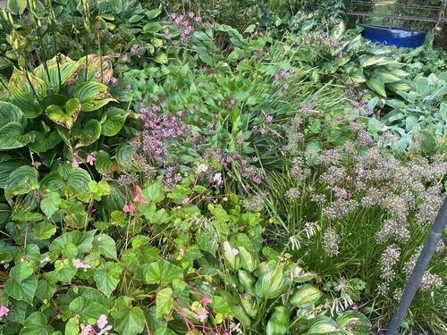 Rhonda’s Fall Garden in West Grove, Pennsylvania
