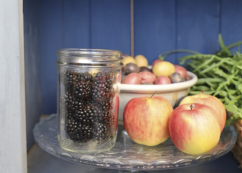 Start a Homestead No Matter Where You Live