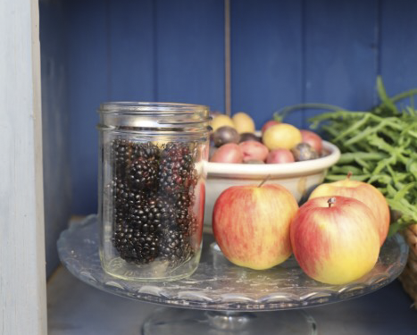 Start a Homestead No Matter Where You Live