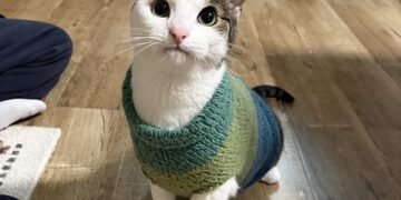 Stitch a Simple Sack Hat that Looks Like a Turkey – Knitting