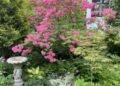 Susan’s Minnesota Garden, Part 2: Spring and Summer