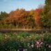 The Business of Flower Farming: Bewitching Blooms The Business of Flower Farming: Bewitching Blooms