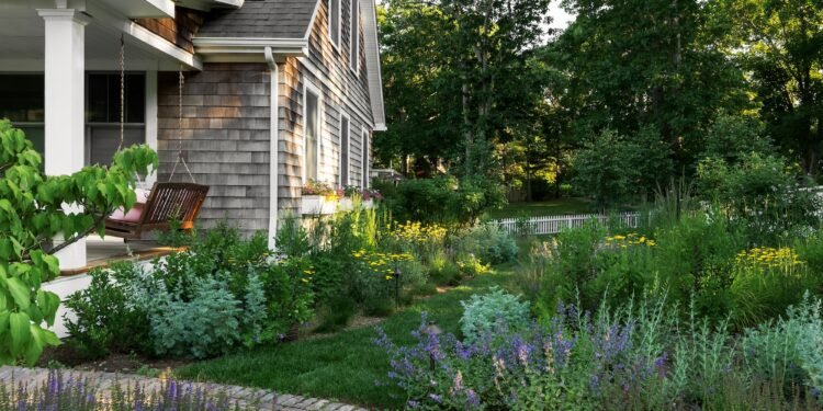 The handy homeowner had built beautiful fences and pathways, but most of the yard was just lawn. Now lawn is used only for pathways and everything else is meadow or garden.