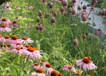 The Next 10 Garden Photos of the Day
