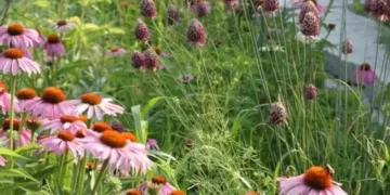 The Next 10 Garden Photos of the Day