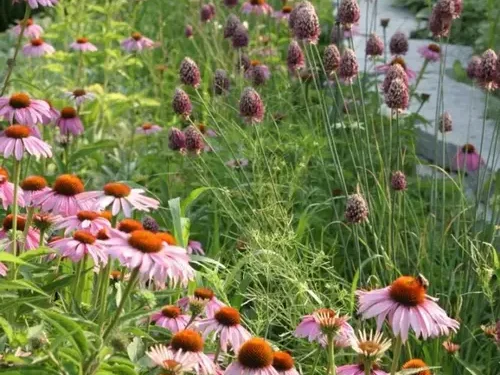 The Next 10 Garden Photos of the Day