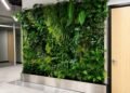 Vancouver Fall Home Show: Living walls bring greenery indoors and out