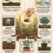 What Happens When You Bury Tea Bags in Soil? Your Plants Will Thank You! –