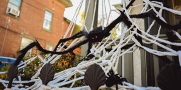 Wildlife experts warn against using this common Halloween decoration