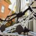 Wildlife experts warn against using this common Halloween decoration Wildlife experts warn against using this common Halloween decoration