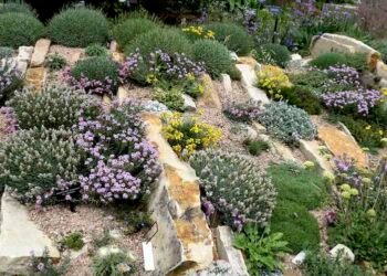 the art of crevice gardening, with kenton seth & paul spriggs