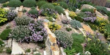 the art of crevice gardening, with kenton seth & paul spriggs